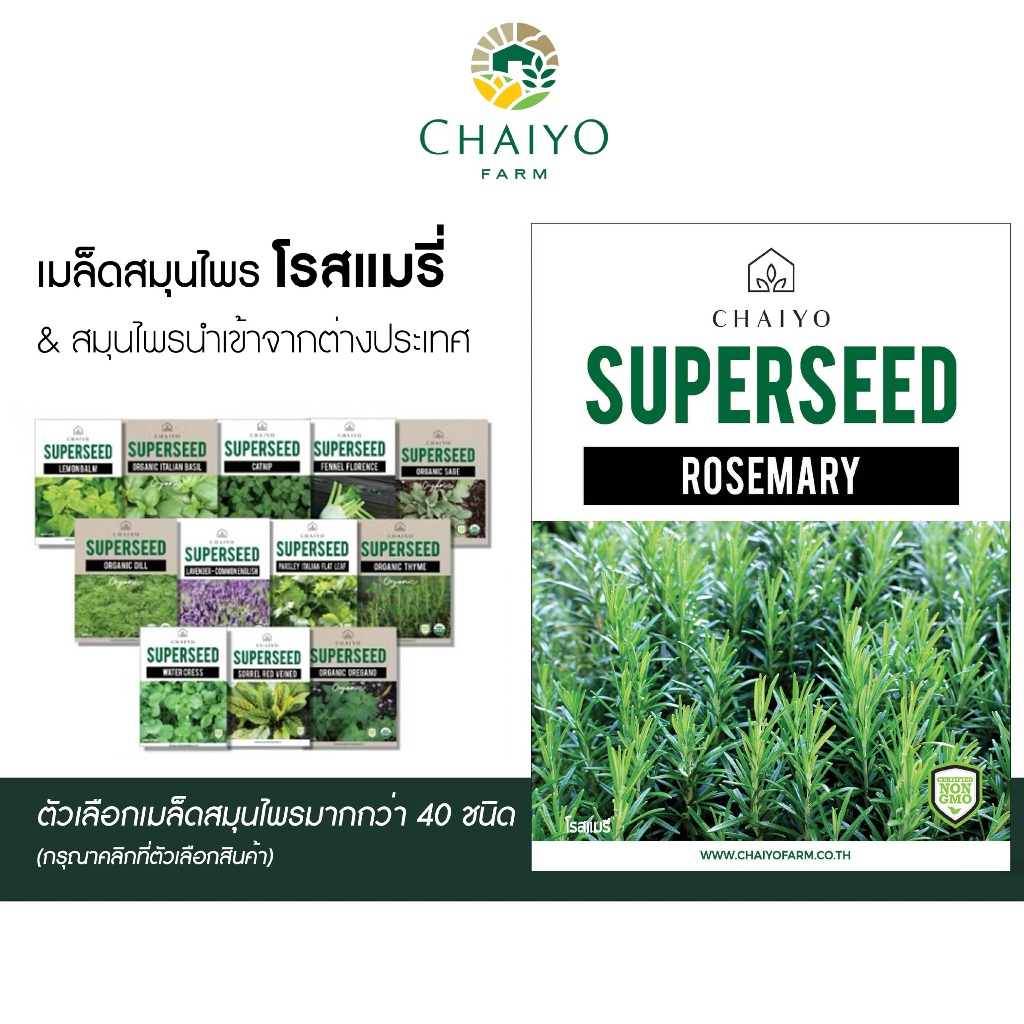 เมล็ดสมุนไพร ออร์แกนิค นำเข้าจากต่างประเทศ เลือกที่ตัวเลือกสินค้า เมล็ด Rosemary และ อื่นๆ