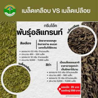 เมล็ดพันธุ์ผักสลัด กรีนโอ๊ค พันธุ์อลิแกรนท์ (เอเวอร์กรีน) ( ขนาด 0.5 กรัม ) ( เมล็ดเปลือย ) รหัสสิค้า 3007