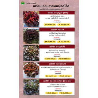 เมล็ดพันธุ์ผักสลัด เรดโอ๊ค พันธุ์เรดเมโล่ ( ขนาด 0.5 กรัม ) ( เมล็ดเคลือบ ) รหัสสินค้า SSC 1037