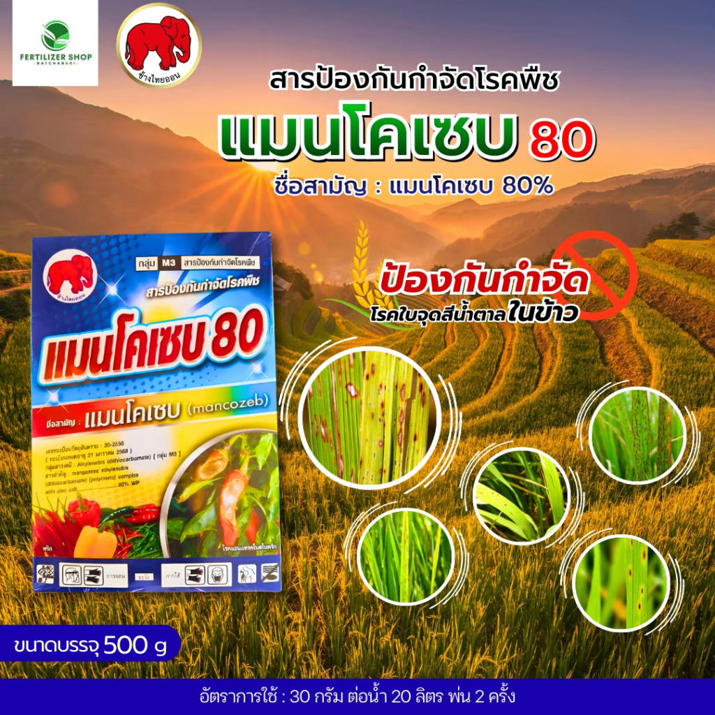 แมนโคเซบ (ขนาด 500 กรัม)ใช้กำจัดโรคพืช ไทออน
