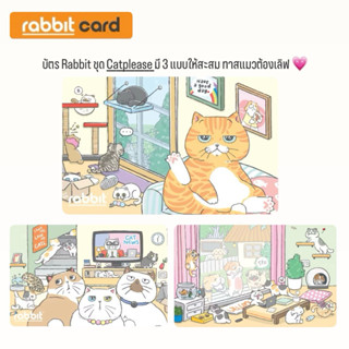 บัตร Rabbit - Catplease บัตรแมวจ๋า สำหรับบุคคลทั่วไป มี 3 แบ…