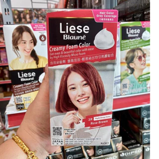 Liese Blauné Creamy Foam Color ลิเซ่ โฟมเปลี่ยนสีผม(ปิดผมขาว)