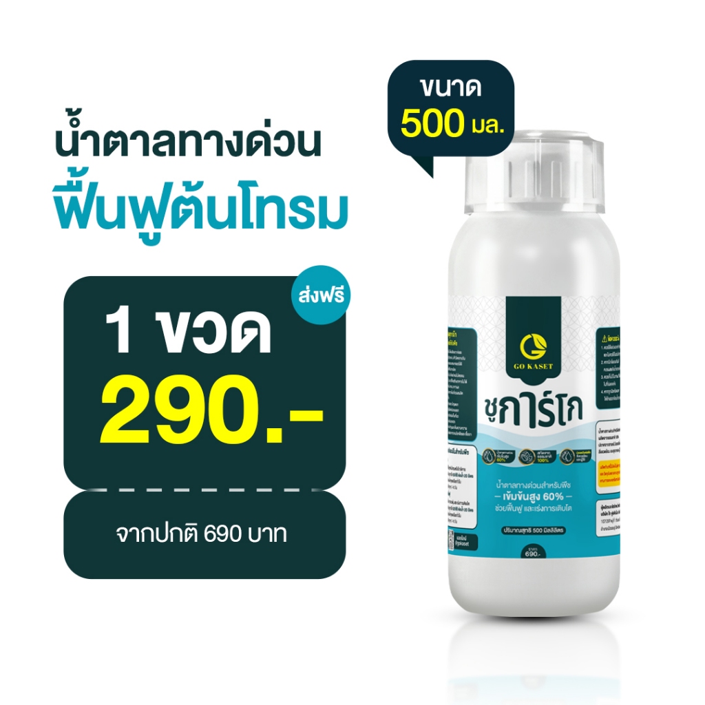 [1ขวด] ชูการ์โก(ขวดเล็ก) 500 ML - SUGAR GO น้ำตาลทางด่วนสำหรับพืช ปุ๋ยน้ำ ปุ่ญกุหลาบ ช่วยเร่งราก