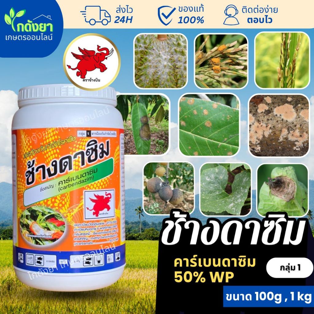 [คาร์เบนผงเข้มข้น] ช้างดาซิม คาร์เบนดาซิม หยุดโรคพืชทันเวลา