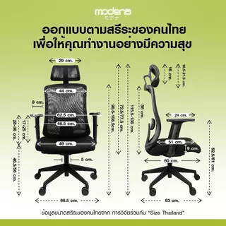 MODENA เก้าอี้เพื่อสุขภาพ รุ่น Support พนักพิง Self Weight (ส่งเป็นกล่อง ลูกค้าประกอบเอง)