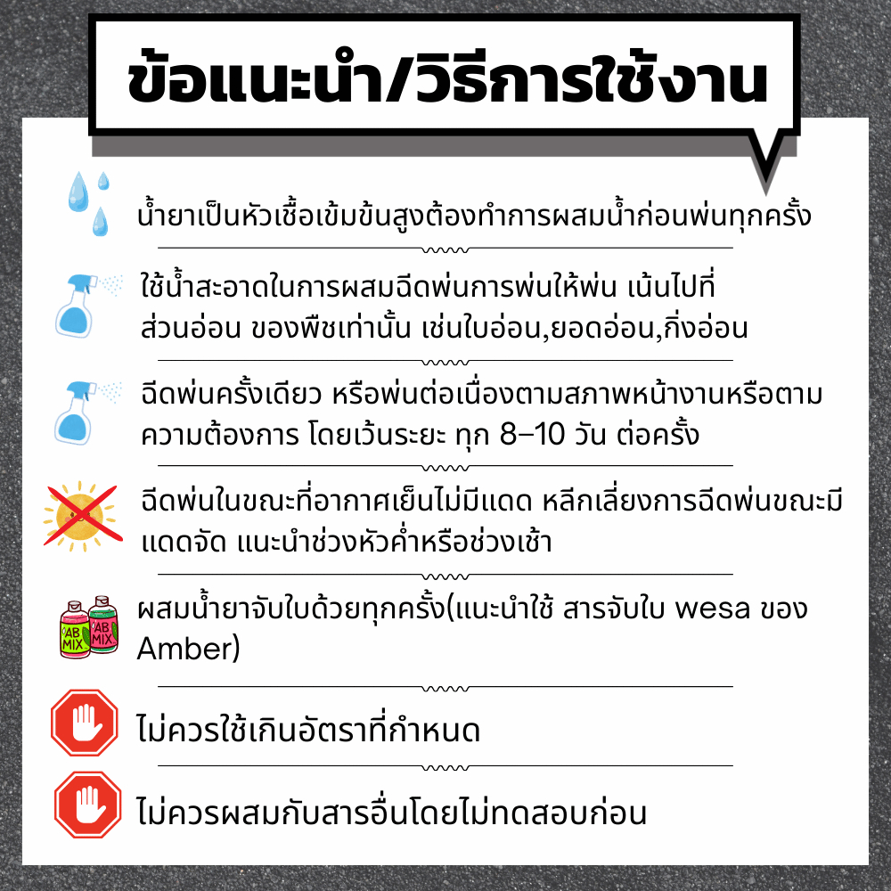 PGS1 น้ำยาสร้างยอด เร่งการเติบโต – ชนิดผสมน้ำพ่น ราคา ถูกที่สุด ดีลบีเคเค แกลเลอรีภาพที่ 4