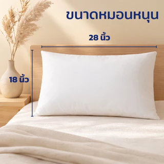 Set หมอนหนุน+หมอนข้าง Polyester สุดคุ้ม ใยแน่น