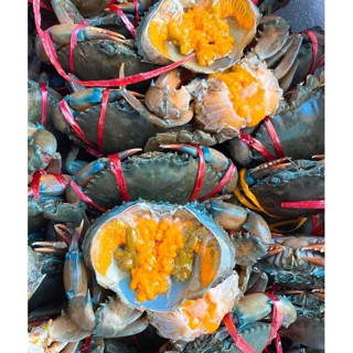 ปูไข่วัง ปูดำไข่ และปูเนื้อแน่น  ปูเป็นน๊อกน้ำแข็งและนำไปแช่…