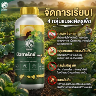ยาฆ่าเพลี้ยไก่แจ้ ป้องกันใบหงิก ใบงอ แมลงดูดน้ำเลี้ยง บิวทาเร็กซ์แม็กซ์น้ำ รวม 2 สูตรในขวด เชื้อบิวเวอร์เรีย เมธาไรเซียม