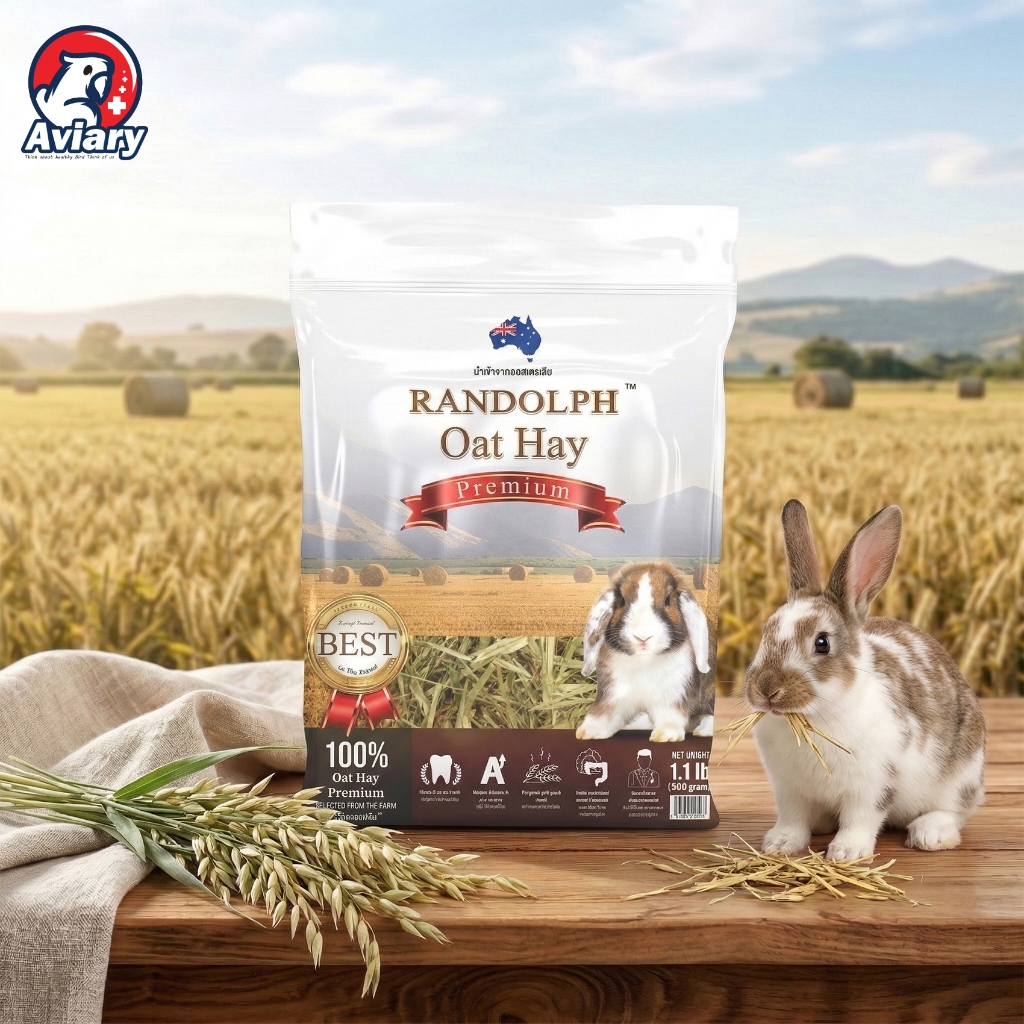 หญ้าโอ๊ตคุณภาพสูง Randolph-Oat Hay (500g)