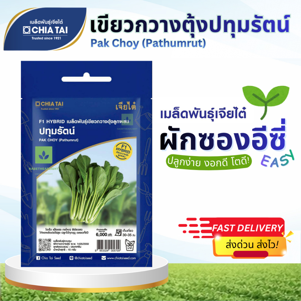 Easy เมล็ดพันธุ์ กวางตุ้งปทุมรัตน์ 15กรัม เจียไต๋ Pak Choy (Pathumrut)