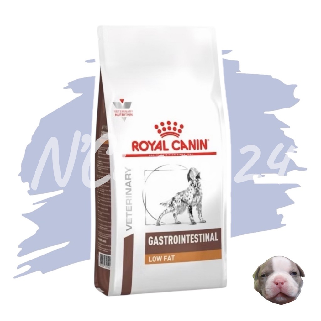 Royal Canin Gastro Intestinal low fat 6kg ขนาด 6 kgอาหารสุนัข ไขมันต่ำ ตับอ่อน อักเสบ