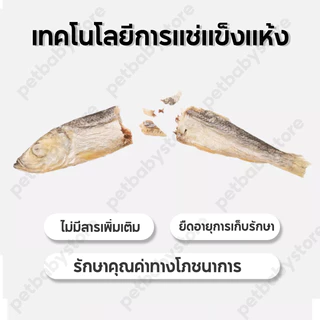 ขนมแมว ปลาแมว ขนมหมา โปรตีนสูง ไม่เค็ม ขนาด ปลอดภัยต่อไต สดใหม่ทุกวัน ไม่ใส่สารกันเสีย สุนัขก็ชอบทาน