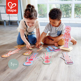 HAPE Human Body Magnetic Puzzle أحجية جسم الإنسان المغناطيسية 3Y+ صورة 2