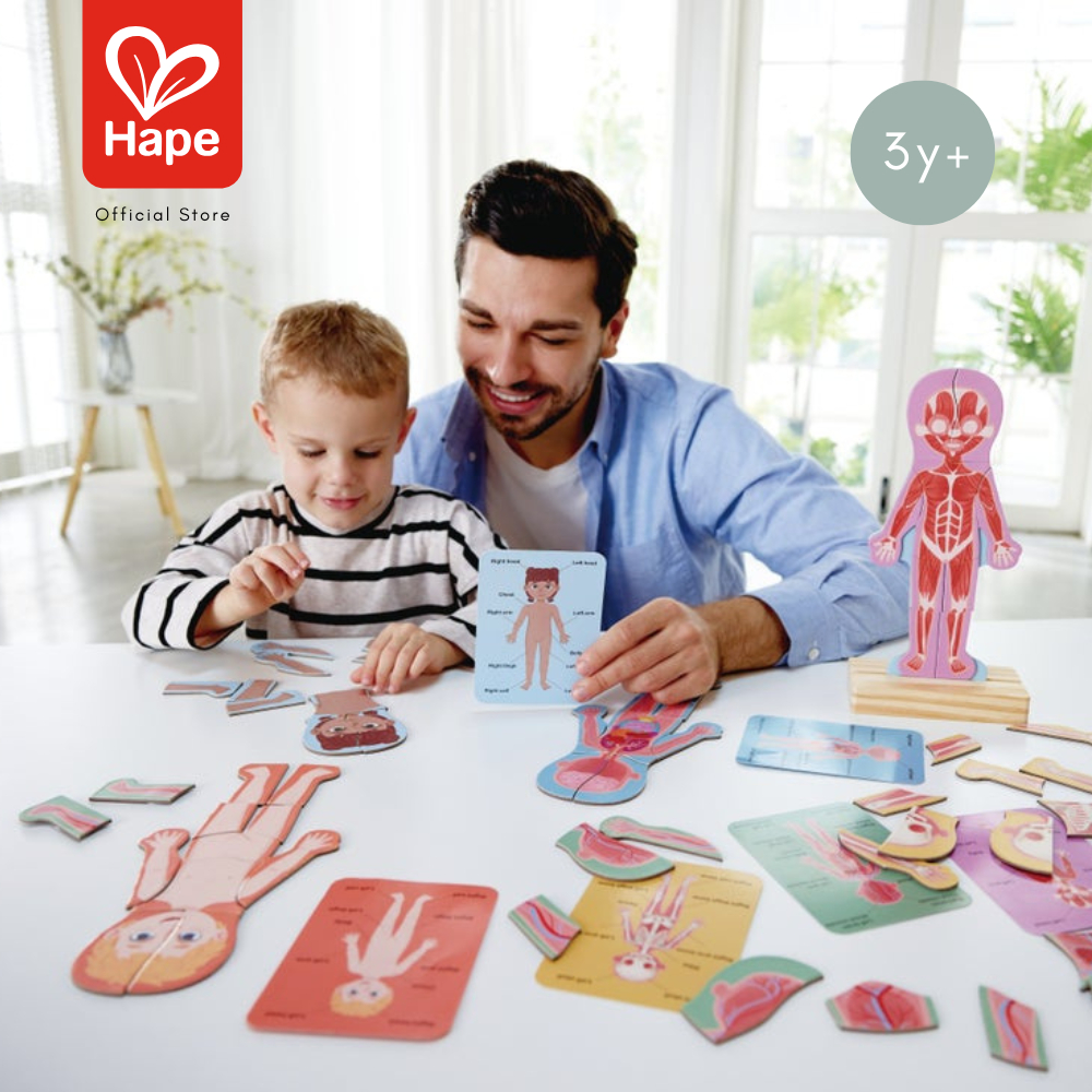 HAPE Human Body Magnetic Puzzle أحجية جسم الإنسان المغناطيسية 3Y+ صورة 4