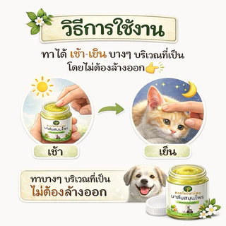 ครีมบาล์มสมุนไพร บรรเทาโรคผิวหนัง ขี้เรื้อนสุนัข แมว เชื้อรา ยีสต์ คันเกา (มี อย ถูกต้อง) 20 กรัม หมอไทยทำเอง
