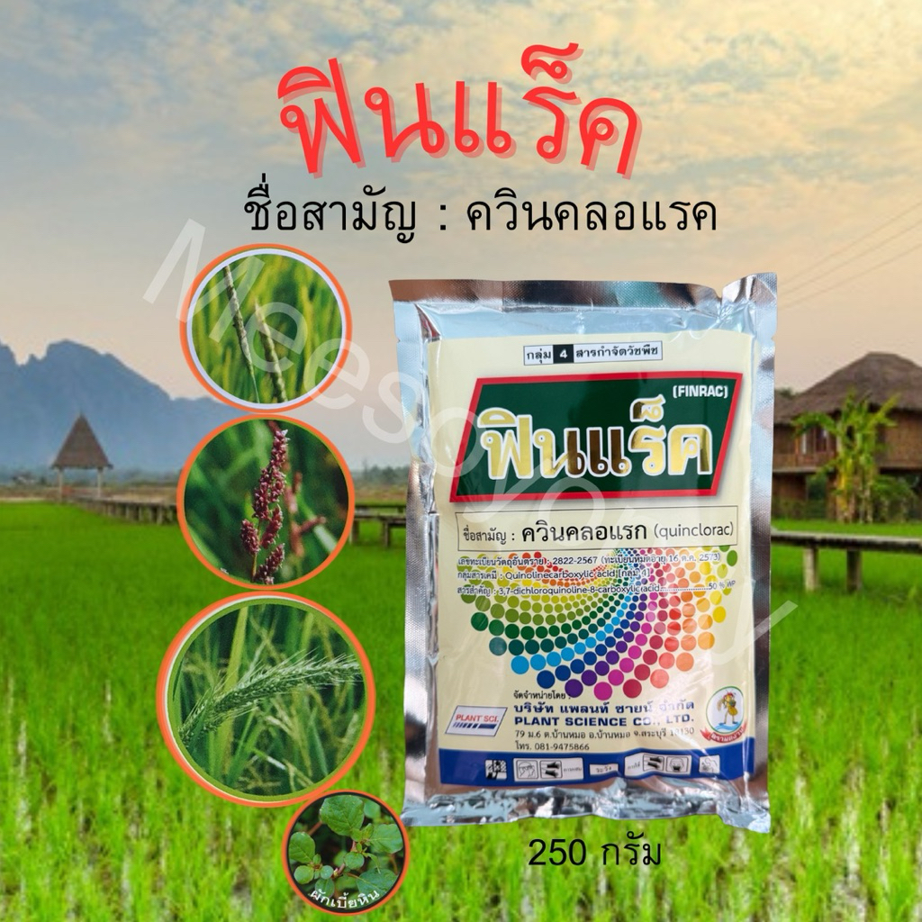 ฟินแร็ค #ควินคลอแรก(quinclorac)50%WPขนาด 250 กรัม กำจัดหญ้าในนาข้าว🌾