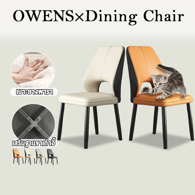 Owens💥เก้าอี้กินข้าว แมวข่วนผิวหนัง เก้าอี้ พร้อมพนักพิง เบาะนุ่ม การเสริมแรงด้านล่าง รับน้ำหนักได้ 300กก. Dining Chairs