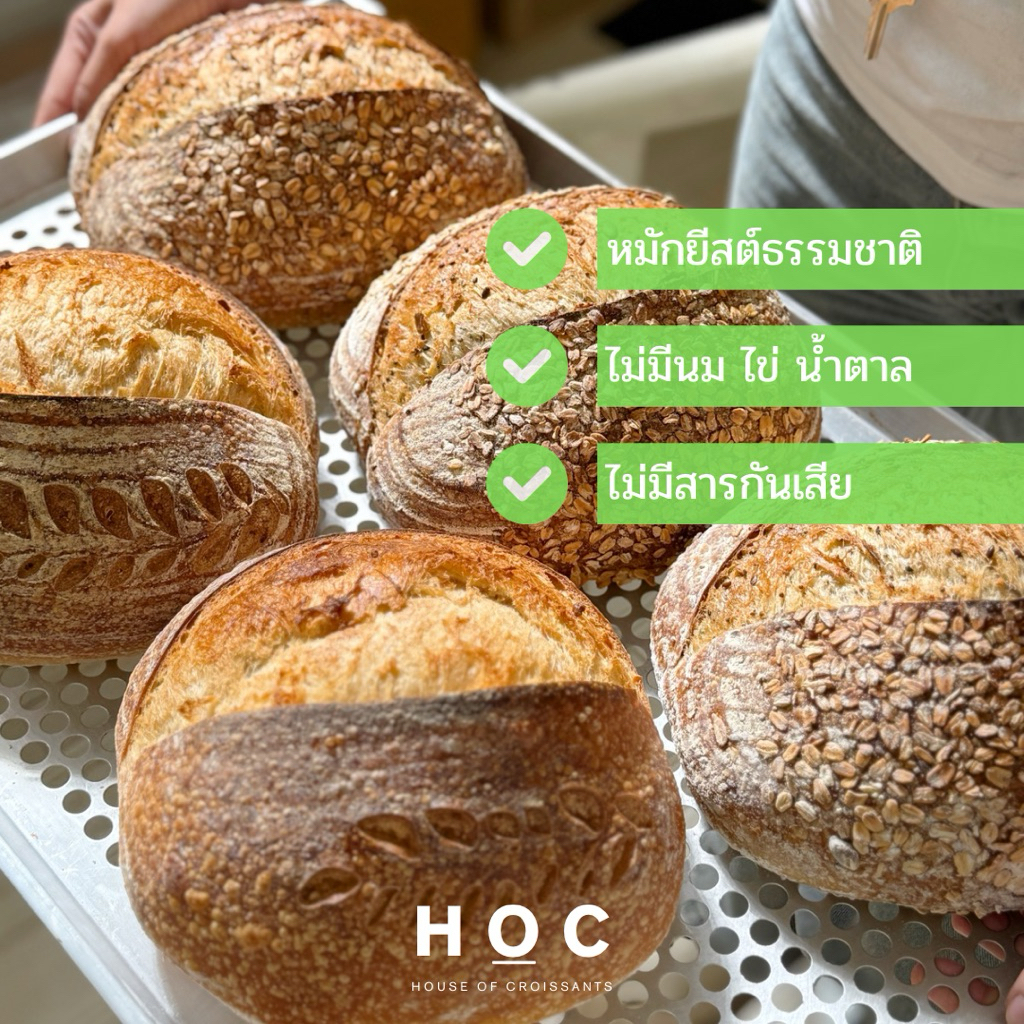 ขนมปัง Sourdough จาก HOC หมักยีสต์ธรรมชาติ เเท้💯
