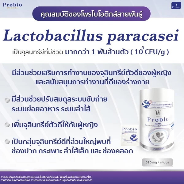 Winona Probio MSMC  l  สูตร1 (30 แคปซูล) จุลินทรีย์มีชีวิต โพรไบโอติกส์ สายพันธุ์ไทย thumbnail 3