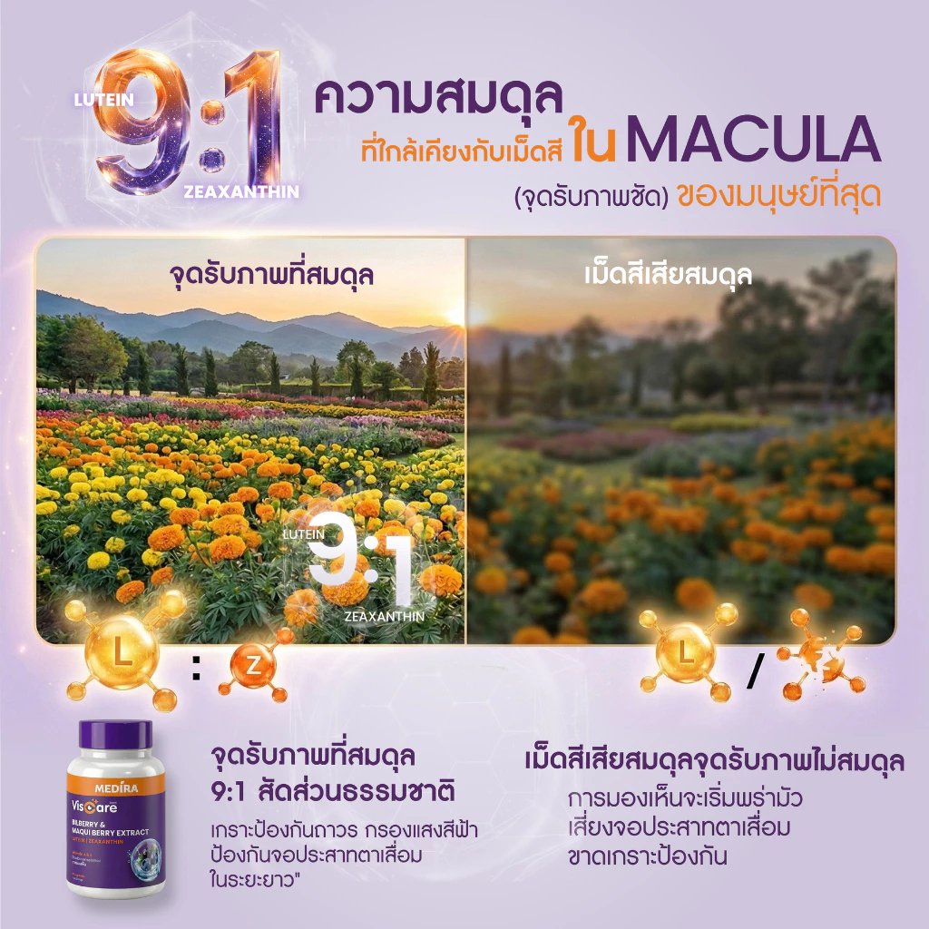 [ลดแรง 30%] Medira Viscare วิตามินบำรุงสายตา เพิ่มความชุ่มชื้น ปกป้องจากแสงสีฟ้า  by 4Care thumbnail 8