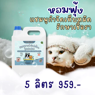 แชมพูสัตว์เลี้ยง กำจัดเห็บหมัด แก้ขี้เรื้อนสุนัข แมว เชื้อรา ยีสต์ สูตรอ่อนโยน แชมพูอาบน้ำสัตว์ บำรุงขนเงางาม หอมฟุ้ง