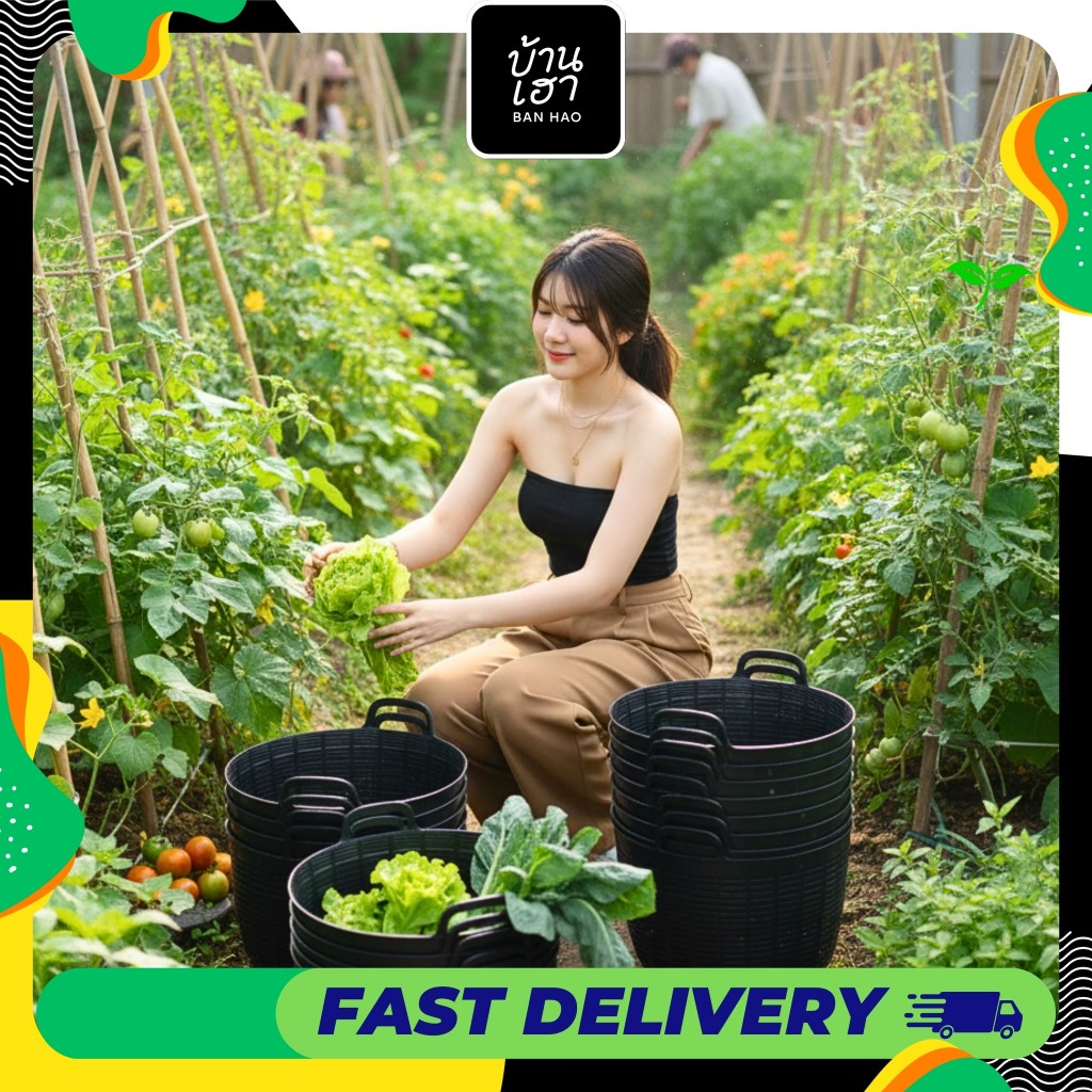 เข่งพลาสติกเบอร์ 7 สีดำ ขายยกโหล เข่งปลูกต้นไม้  เข่งจิ๋ว เข่งมินิ สุดคุ้ม #เบอร์7