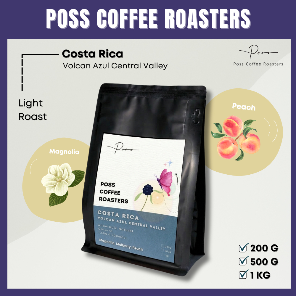 เมล็ดกาแฟคั่วอ่อน Costa Rica Volcan Azul Central Valley 200g 500g 1kg - Poss Coffee Roasters