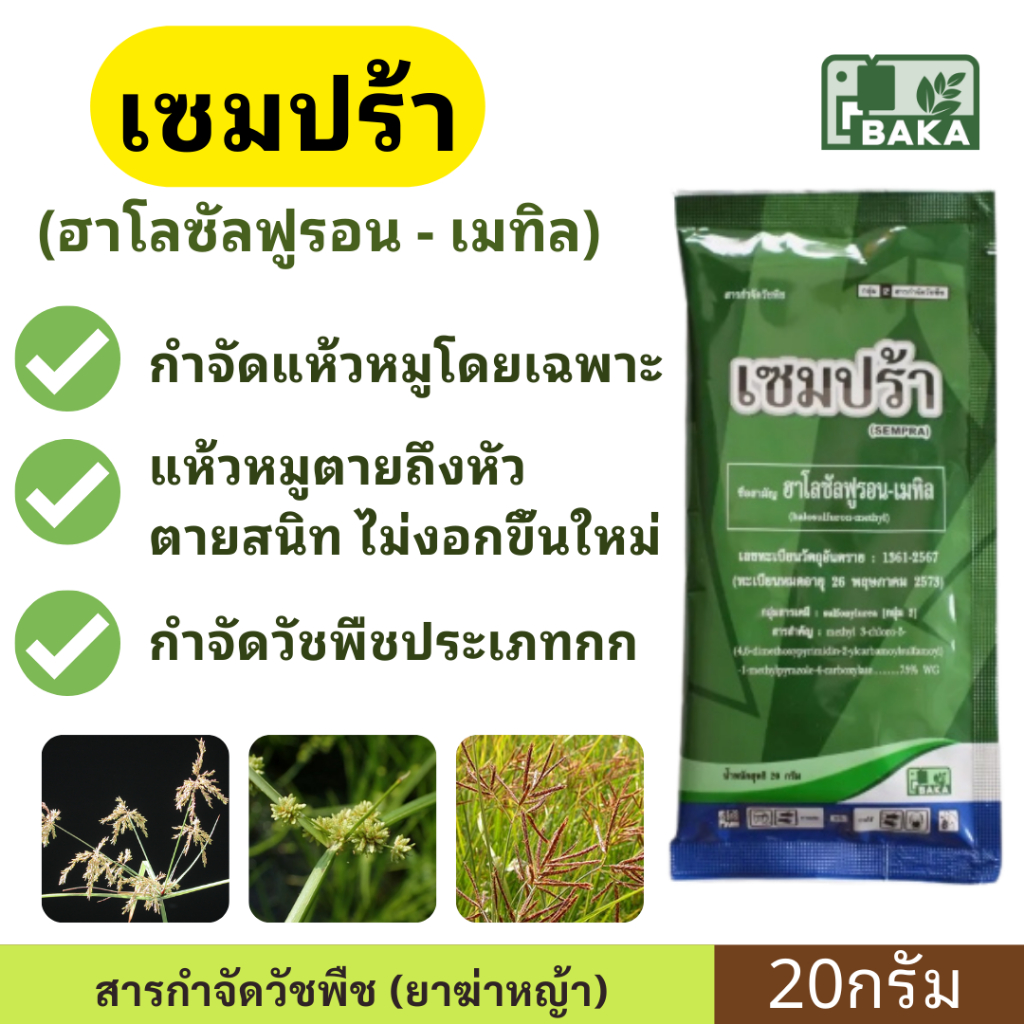 เซมปร้า ( ฮาโลซัลฟูรอน-เมทิล ) ขนาด 20กรัม กำจัดหญ้า แห้วหมู โดยเฉพาะ ตายไว กำจัดวัชพืชประเภท กก – โปรปัง