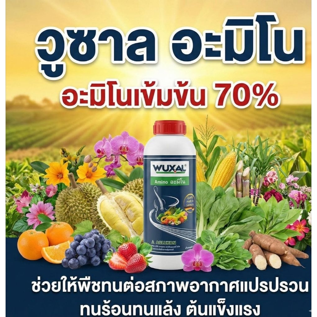 วูซาล อะมิโนพืชเข้มข้น 1 ลิตร Wuxal จากเยอรมัน ฟื้นฟูเร่งการเติบโตของพืชผักทุกชนิด