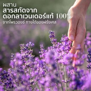 ใหม่! Herbal Essences เฮอร์บัล เอสเซนส์ คลาสสิค สูตรผสานลาเวนเดอร์ และอัลมอนด์ออยล์ แชมพูลดผมชี้ฟู 400 มล.