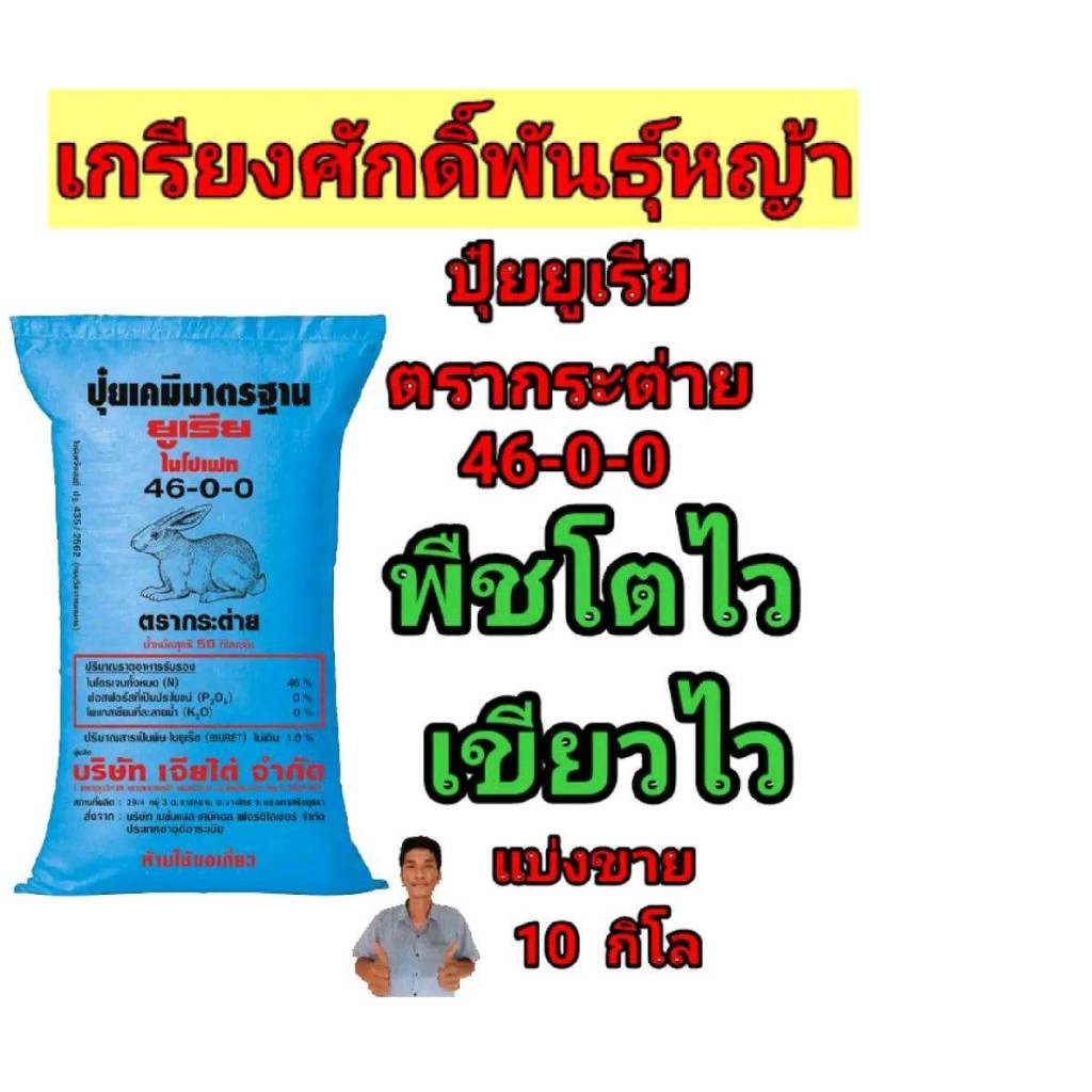 (แบ่งขาย 10 kg.) #ปุ๋ยยูเรียตรากระต่าย 46-0-0 เพื่อโตไว เขียวไว #ปุ๋ยยูเรียตรากระต่าย 46-0-0 #ปุ๋ยยู