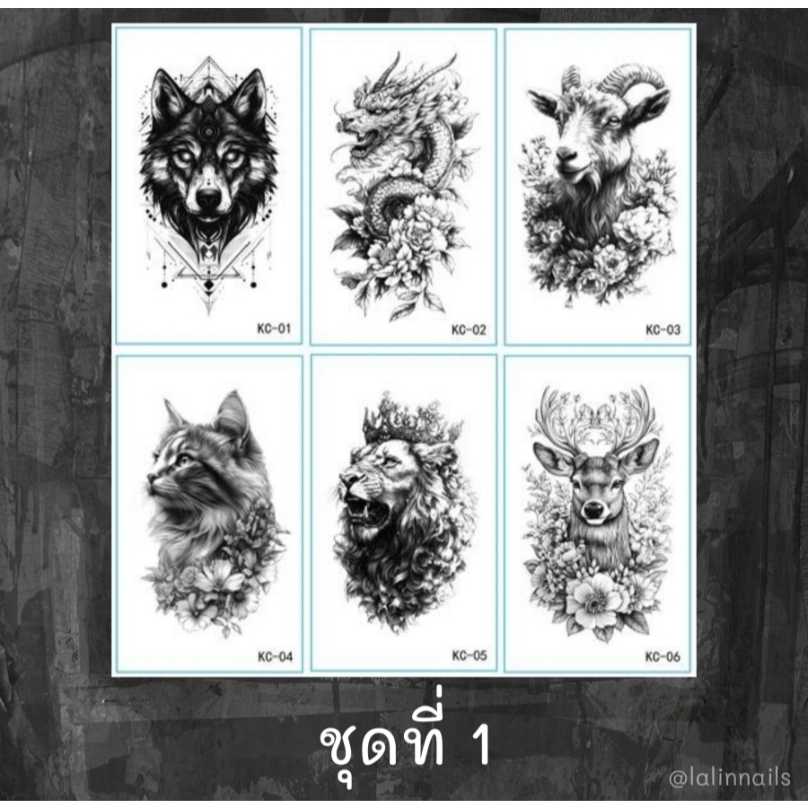 Thumbnail 6