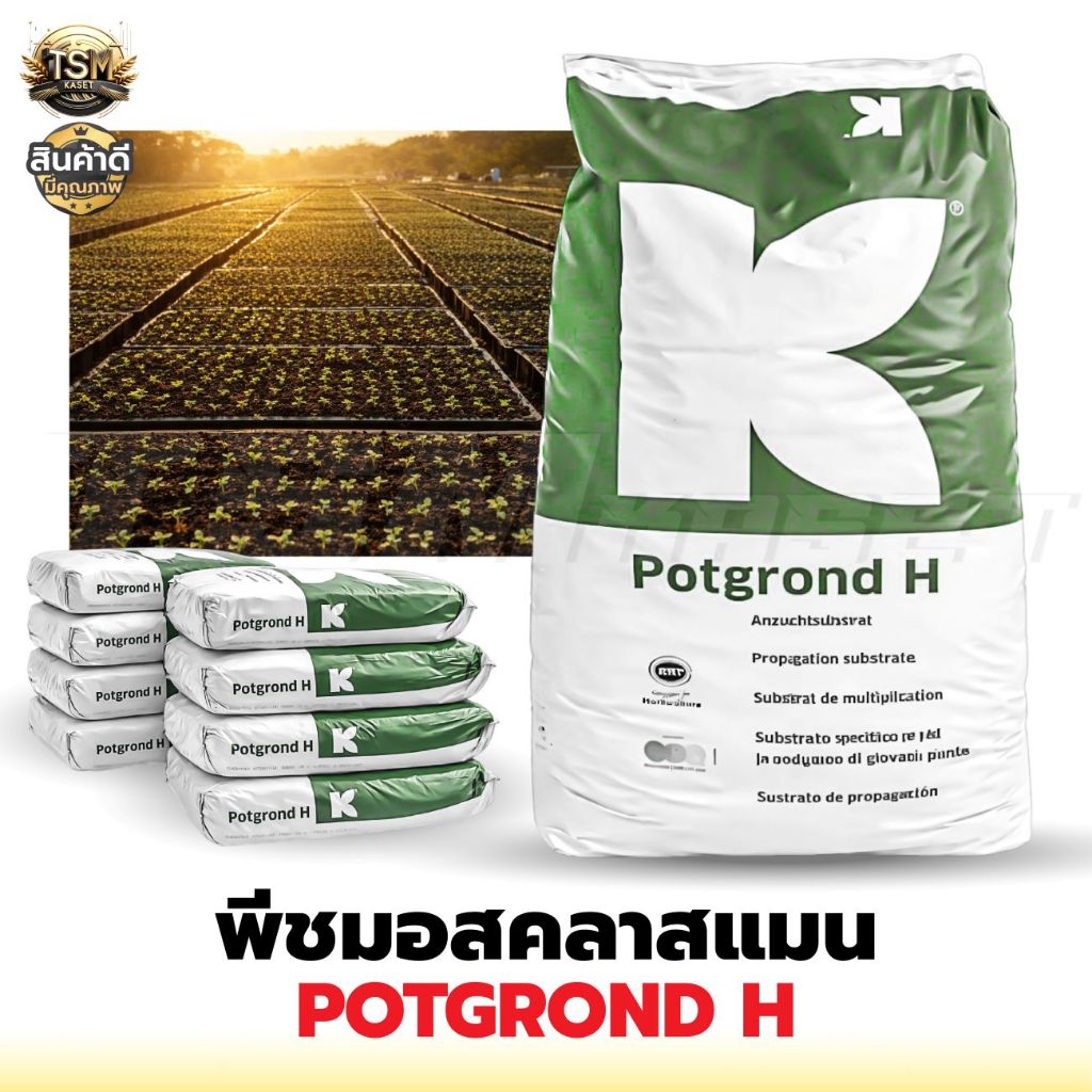 ดินเพาะคลาสแมน พีทมอสคลาสแมน 70 ลิตร นำเข้าจากเยอรมันนี สินค้าคุณภาพ เกรดพรีเมี่ยม แคคตัส