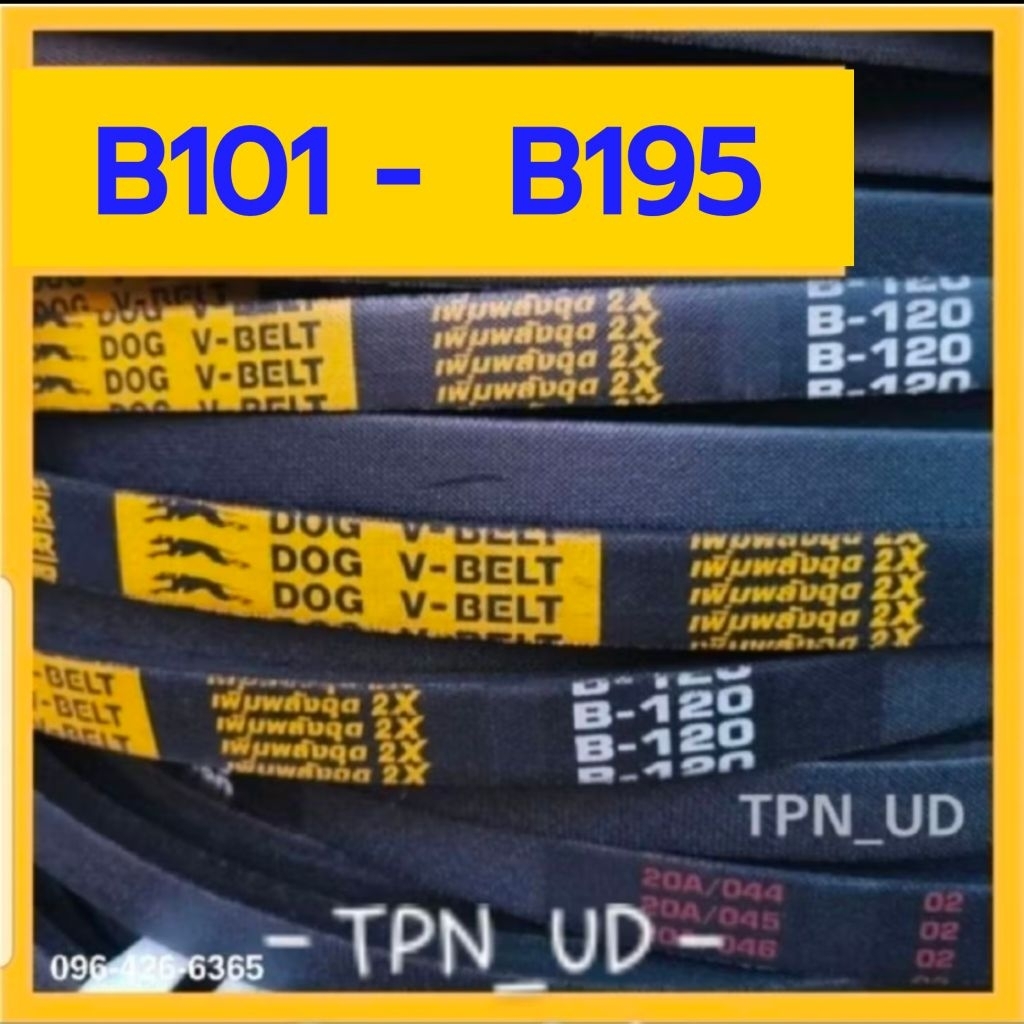 สายพานร่อง B101 ถึง B195 สายพานรถไถนา เครื่องสูบน้ำ ตราหมา DOG / ตราดอกจิก Black Clubs