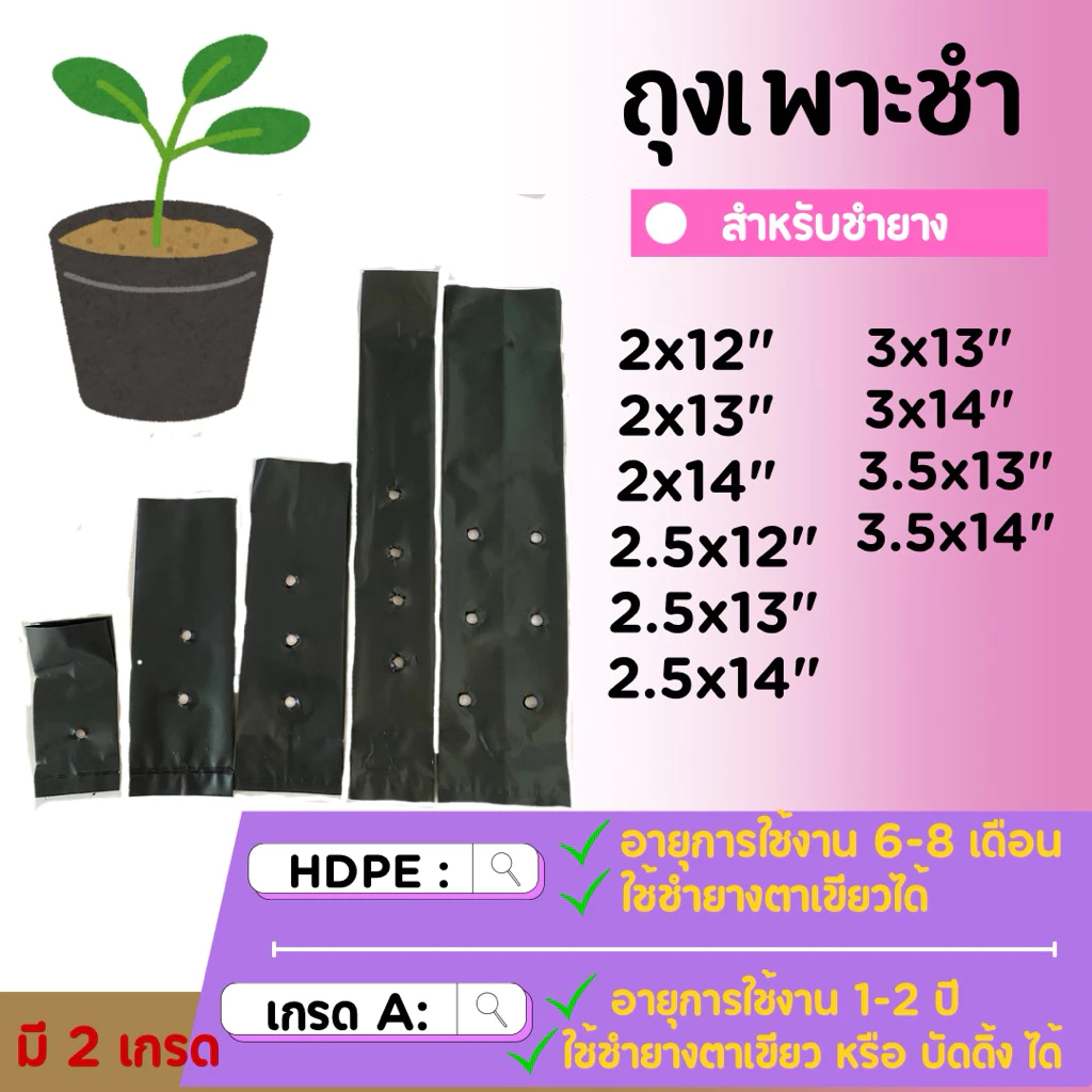 ถุงชำยางพารา มี 2 เกรด (ราคาโรงงาน) ถุงเพาะชำคุณภาพดี ชำยางตาเขียว ยางบัดดิ้ง