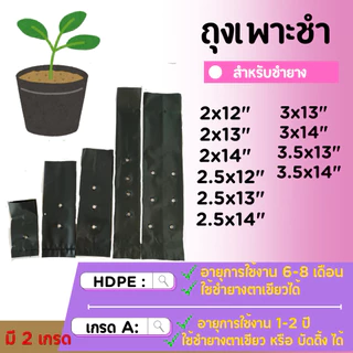 ถุงชำยางพารา มี 2 เกรด (ราคาโรงงาน) ถุงเพาะชำคุณภาพดี ชำยางตาเขียว ยางบัดดิ้ง