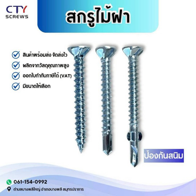 สกรูไม้ฝา สกรูแบบมีปีก  WING สกรูไม่มีปีก สกรูไม้ฝาปลายแหลม สกรูปลายสว่าน DS-FR สกรูยิงฝา