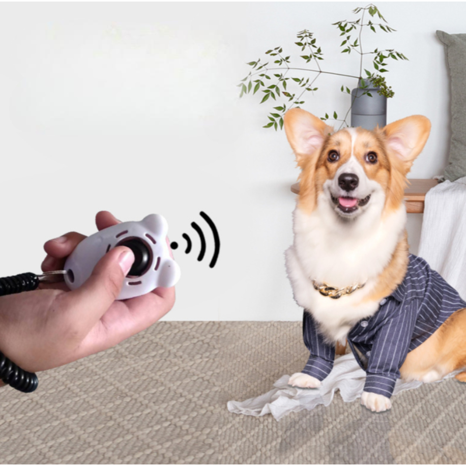 PP-4100 คลิกเกอร์ฝึกสุนัข Clicker รุ่นหมีสุดคิวท์ มีสายรัดข้อมือ ใช้ง่าย ฝึกได้ไว พร้อมส่ง