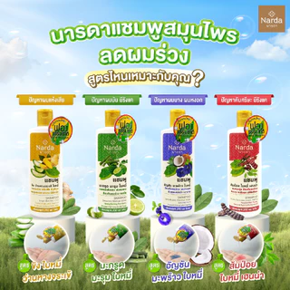 Narda นารดาแชมพู และครีมนวด ขนาด 250-500ml. (รวมทุกสูตร)