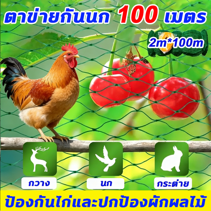 100ม อวนล้อมไก่ ทนต่อแรงดึง ทนต่อน้ําค้างแข็ง หนาขึ้น ตาข่ายล้อมไก่ ตาข่ายกันนก อวนเขียว ตาข่ายอเนกประสงค์ รั้วตาข่าย