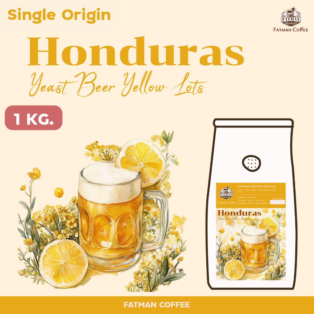 ราคาส่ง 1-3 โล เมล็ดกาแฟคั่วอ่อน Honduras Beer Yeast Yellow Lots (Exotic coffee) กาแฟมี Defect 2-5%