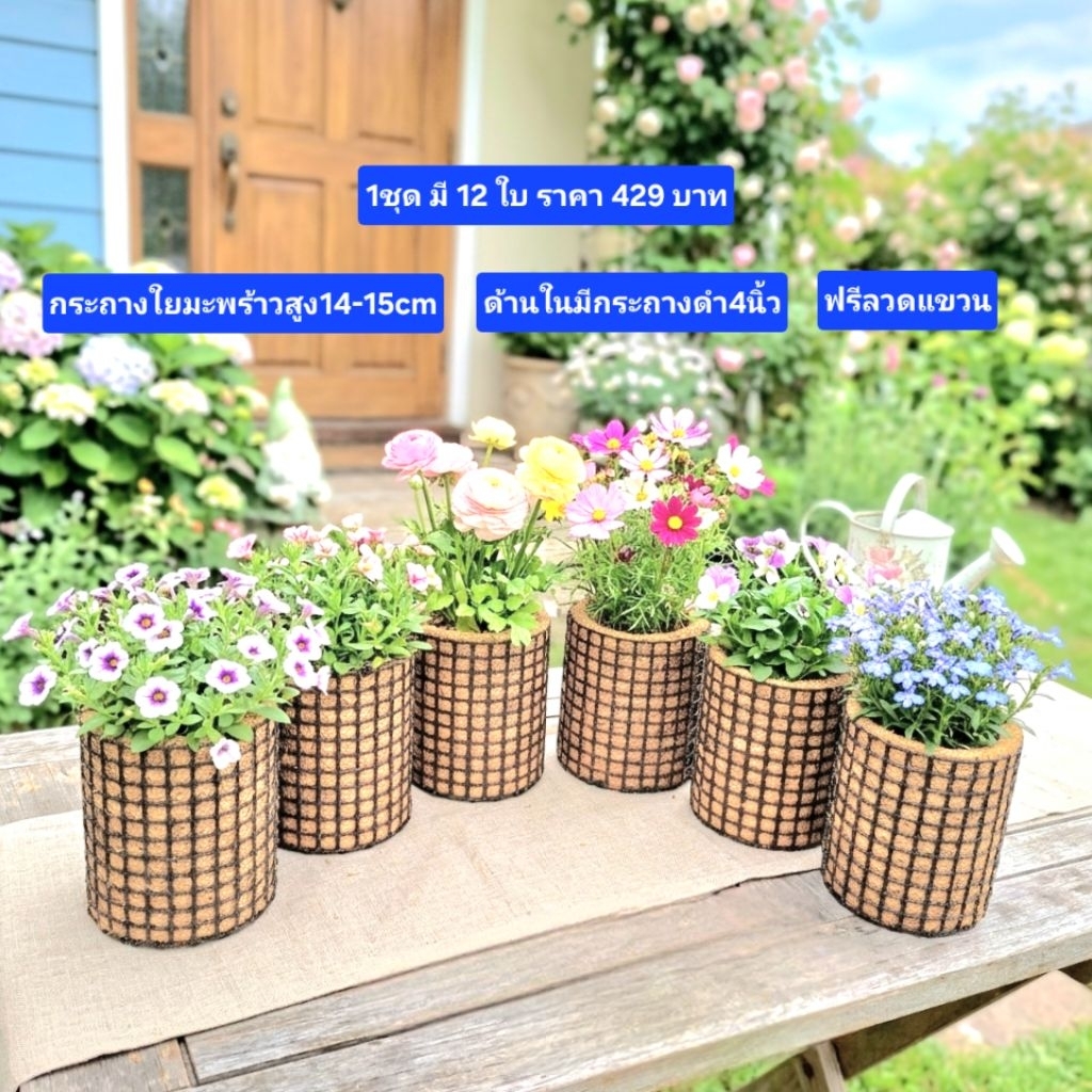 กระถางใยมะพร้าวแบบสั้น 4นิ้วสูง14-15cm1ชุด12ใบราคา429บาท