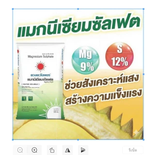 (ยกกระสอบ25kg)แม่ปุ๋ย MgSO4 แมกนีเซียมซัลเฟต เฮปตะไฮเดรต ดวงตะวันเพชร (ดีเกลือฝรั่ง) ช่วยให้พืชสังเคราะห์แสง