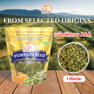 1Kg. เมล็ดฟักทองเขียวอ่อน พรีเมี่ยม AAA ดิบ (ตราซันเกรนส์) P…