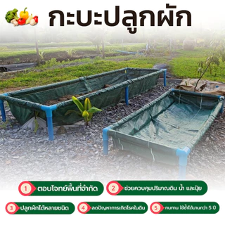 กะบะปลูกผักสำเร็จรูป กระบะปลูกผัก ถาดปลูกผักประกอบง่าย พร้อมโครงPVC ขนาด​ 60x200x30 cmกะบะเพาะปลูก