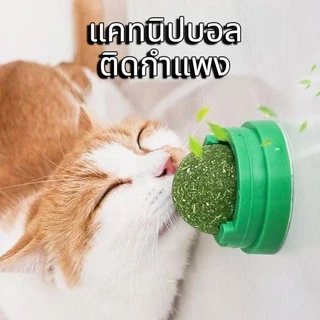Boqi Factory แคทนิปบอล ติดกำแพง ไม่กลิ้งหาย catnip ball XJ55