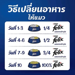 [ยกโหล 12 ซอง] Felix ฟีลิกซ์ อาหารเปียกแมว ซอง เพาซ์ ไม่เค็ม 85 กรัม