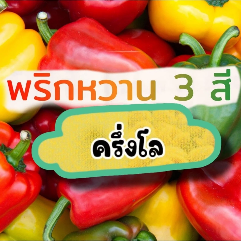 พริกหวาน ครึ่งกิโลกรัม สดใหม่จากสวน