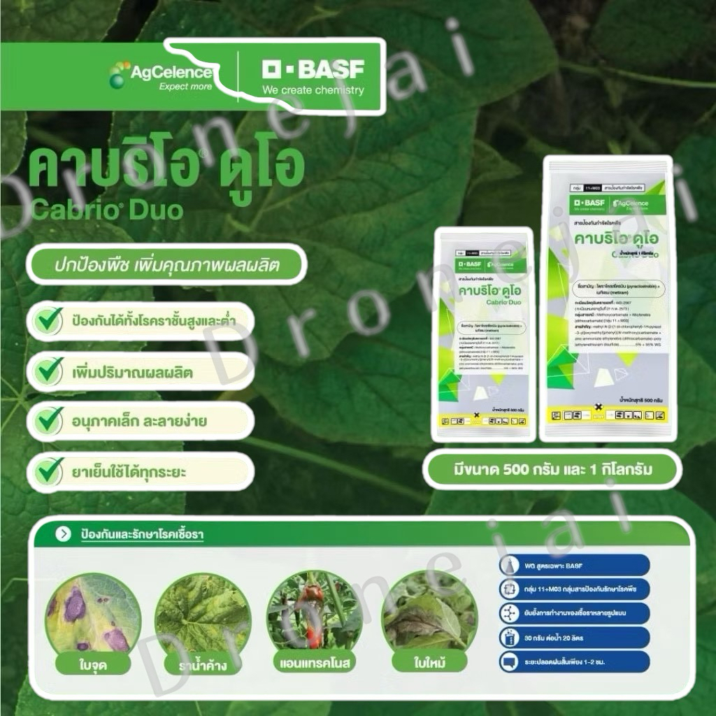 ไพราโคลสโตรบิน+เมทิแรม (5%+55% WG) ใช้ป้องกันและกำจัดโรคใบจุด ใบไหม้ แอนแทรคโนส และราน้ำค้าง
